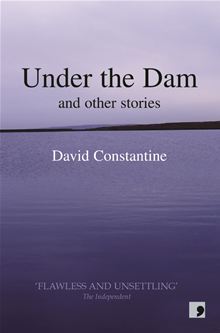 BOOK_Under_the_Dam_Constantine