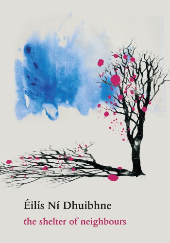 BOOK_Ni_Dhuibhne_Shelter-of-neighbours