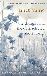 cover_frame-daylight-and-dust